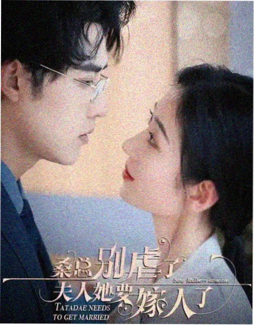 深蓝档案 悬疑犯罪剧免费在线看